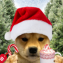 wifmas Token