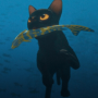First FLOW Cat 幣種