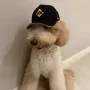 token fur-nancial advisor
