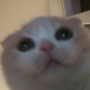 トークンアイコン