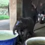 トークンアイコン