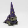 the wizard toad 幣種