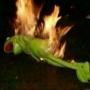 Kermit 幣種