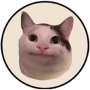Jeton Beluga Cat