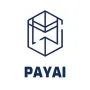 Token PayAI Network