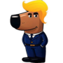 Chill Trump 币种