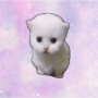 token hop cat