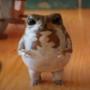 No1 tiktok frog (Omochi) トークン