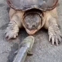 币种图标