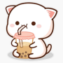 Jeton MOCHICAT