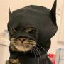 Token CATMAN