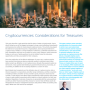 CITIBANK CRYPTO TREASURY token