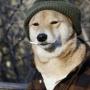 Token DOGE