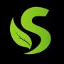 token Seed Agent Creator