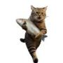 Jeton Thief Cat