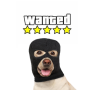 ⭐⭐⭐⭐⭐ 币种