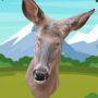 Token-Icon