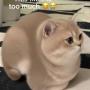Значок токена