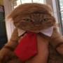 DONALDCAT 币种