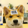 Pictogramă token