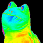 Токен Dank Frog