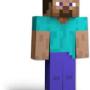 Jeton STEVE