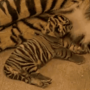 Jeton Disney Sumatran Tiger