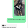 Jeton Pumpfun support Shiba Inu