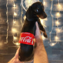 Токен Coca Cola Dog