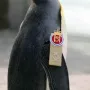 Піктограма токена
