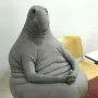 幣種圖標