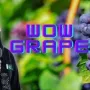 GRAPE Token