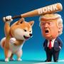 BONK DOG 幣種
