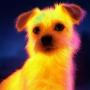 Token DOG AI Agents Mastery