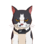 Token Maxwell