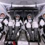 spacex cabal 幣種