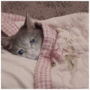 Token SadCat