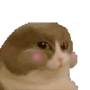 numcat Token