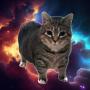 Oia Oia Cat-token