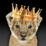Jeton KING