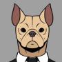 PITBULL 币种