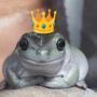 幣種圖標