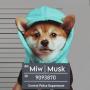 Miw Musk-token