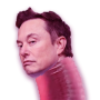 Weiner Musk Token
