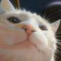 Vibing Cat Token