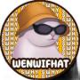 Token WENWIFHAT