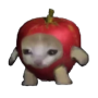 Token Apple Cat