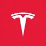 Token Tesla AI