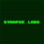 Token Synapse Labs