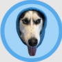 Icono del token